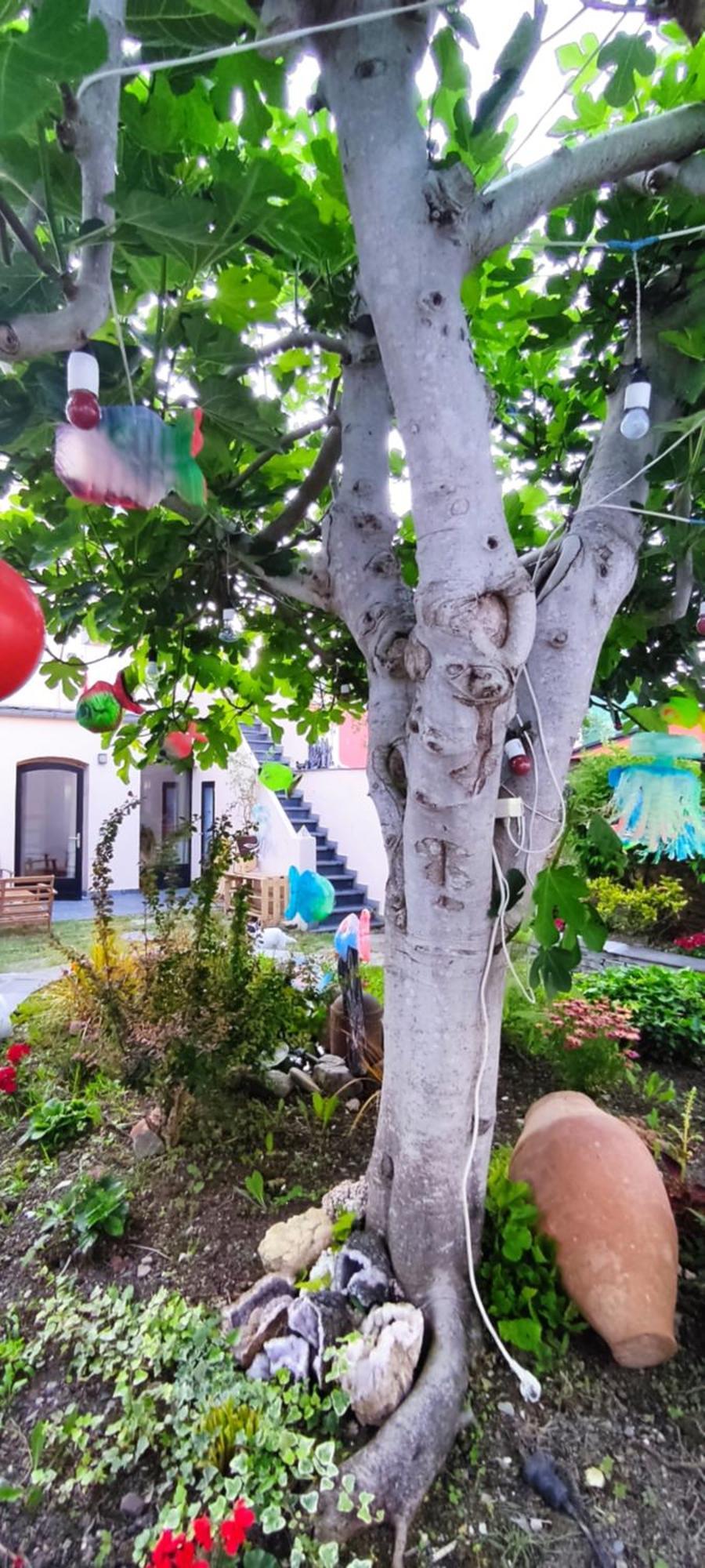 Hostel Namor Рибадео Екстериор снимка